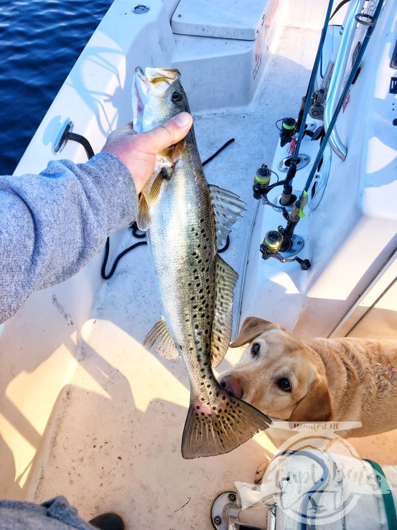 Mixed bag in post cold front conditions, I love teaching anglers a new technique they’ve never fished before and seeing them build confidence in it throughout the day!