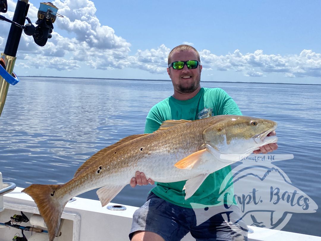 Finally the big fan shut off and we were able to get back after the trophy red fish! Hurricane 2 years ago and a bad nor Easter last year kept us from getting after em! But the Prevette’s wait finally paid off with gold!