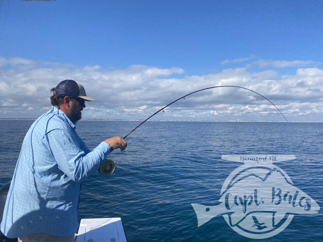 After being taunted by these unicorns for a week!  Finally, today one of my guys was able to put the @templeforkoutfitters inshore medium to the test! Seen a few bust in the albies and had textbook marks, then watched this guy eat a soft plastic 30’ from boat. Few other misses, but a citation blackfin on trout gear and #albiesnaxx in addition to first albies on the fly for these guys turned a slow morning into an incredible afternoon! Picked away at a few fish all morning then found the blitzes we were looking for! Ryan Hurd
#blackfin #blackfintuna #albies #falsealbacore #albies #lighttackle #flyfishing #flyfishingaddict #fishingaddiction #flyfishingadventures #flyfishingjunky #atlanticbeachnc Temple Fork Outfitters