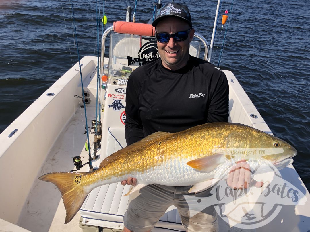 Had a great time with my good friend Bradley and his wife, went out looking for their first Trophy Redfish and we found them!

Unfortunately, we had some tough luck early with 2 fish spitting the hook mid fight, and one jig came off a loop knot. 

But we kept at it, and was able to get him his first ever Neuse River trophy redfish!