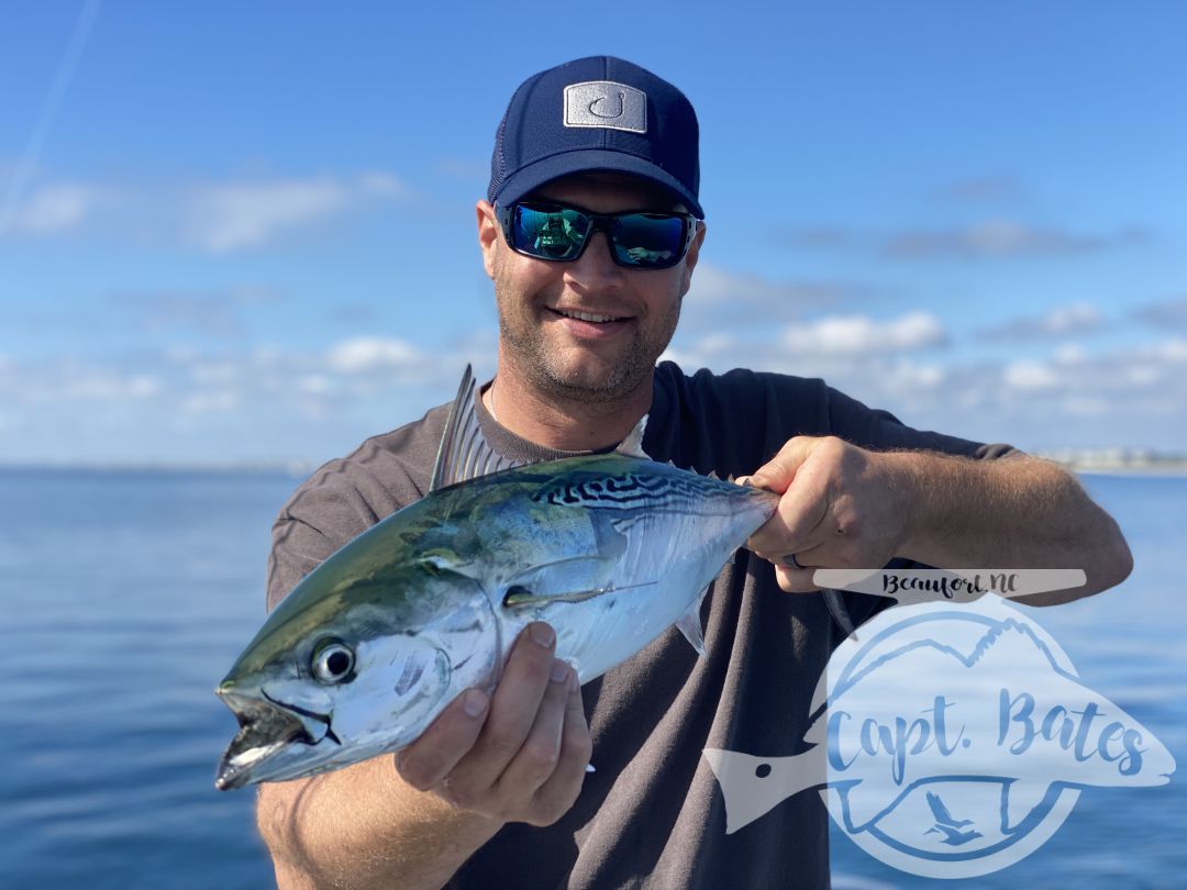 After being taunted by these unicorns for a week!  Finally, today one of my guys was able to put the @templeforkoutfitters inshore medium to the test! Seen a few bust in the albies and had textbook marks, then watched this guy eat a soft plastic 30’ from boat. Few other misses, but a citation blackfin on trout gear and #albiesnaxx in addition to first albies on the fly for these guys turned a slow morning into an incredible afternoon! Picked away at a few fish all morning then found the blitzes we were looking for! Ryan Hurd
#blackfin #blackfintuna #albies #falsealbacore #albies #lighttackle #flyfishing #flyfishingaddict #fishingaddiction #flyfishingadventures #flyfishingjunky #atlanticbeachnc Temple Fork Outfitters