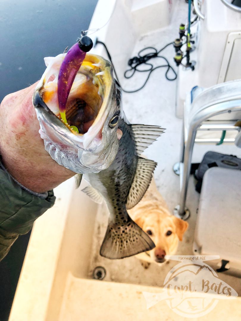 Mixed bag in post cold front conditions, I love teaching anglers a new technique they’ve never fished before and seeing them build confidence in it throughout the day!