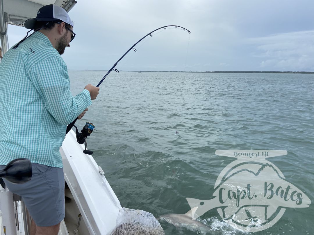 This mother and son wanted sharks and they stayed battling toothy critters all evening! A bunch nice blacktips, hammerhead, and sharp nose.