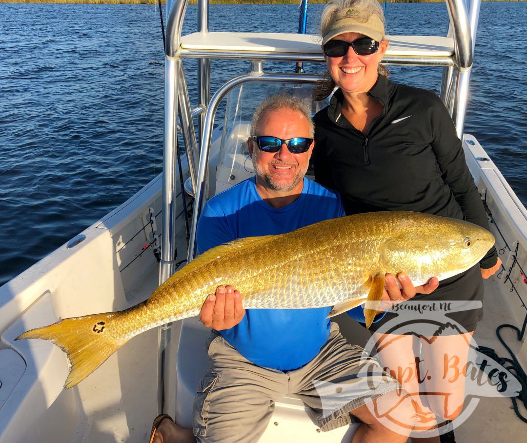 What an awesome couple I had the pleasure of having on the boat today! Mr Harvey has been fishing all over the country, and has been wanting a citation red drum for a long time. He also really wanted to hit that 50” mark, well he did both today! Him and Mrs. Tina are trying to spend more time together, and experience different things. Well, they got to experience about the best of what the Neuse River has to offer! Mrs. Tina went from admitting she didn’t have much experience fishing, to casting and hooking trophy fish like a pro, she ended up landing several all on her own. Seeing them learn what we’re looking for and how to properly work the artificial bait on the TFO Rods was great, congrats guys! Look forward to sharing the boat with y’all again. 