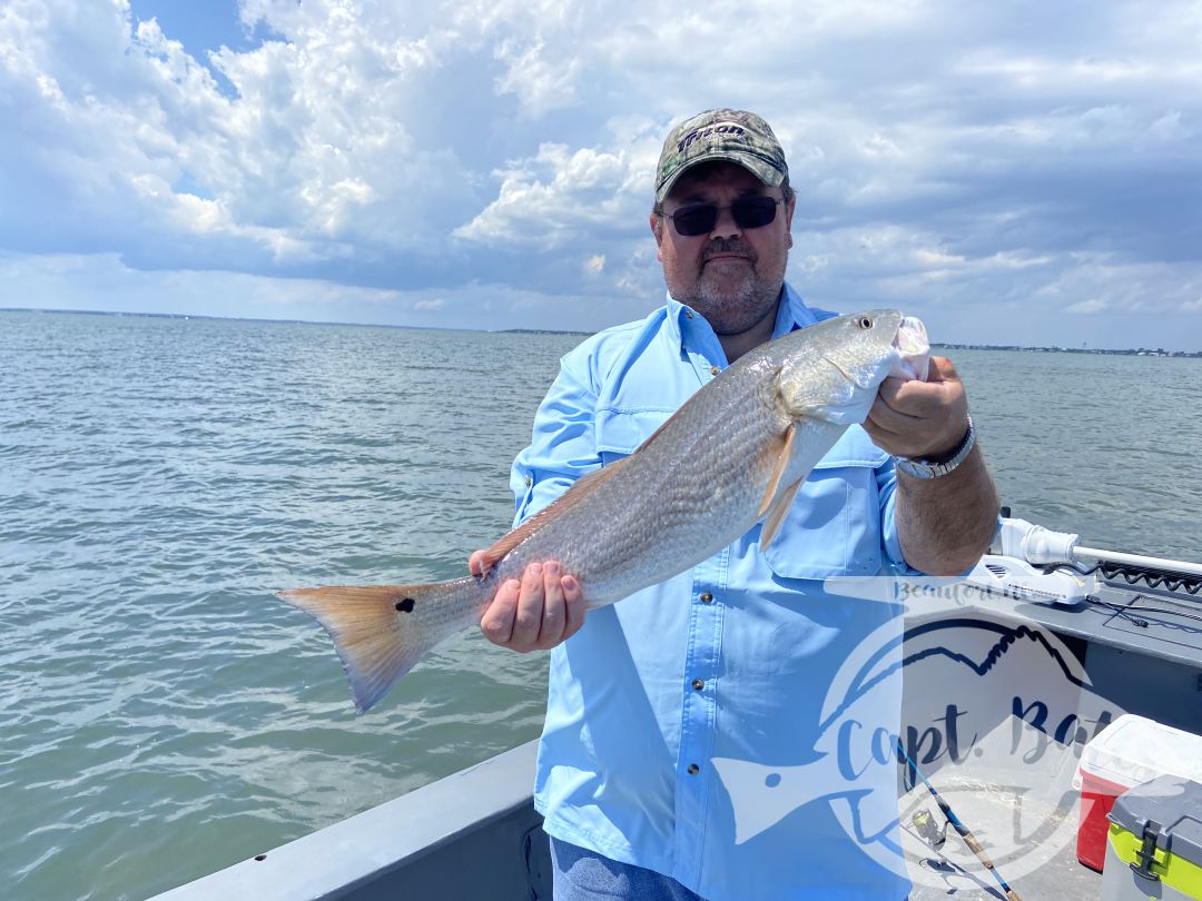 The last week has been full of Spanish mackerel, sharks, redfish and some fun size bluefish on topwater! 