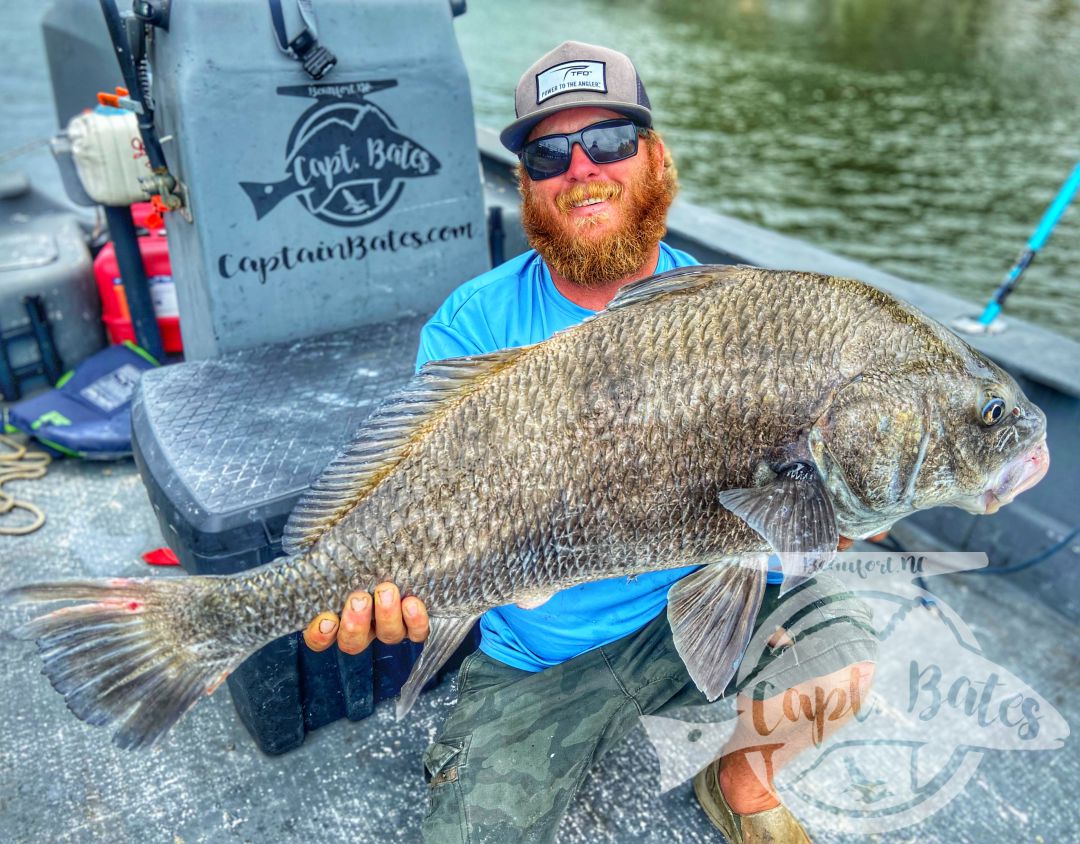 Been some really solid fishing lately with many citation fish! Sheep’s head and big Spanish mackerel with some big black drum as well!