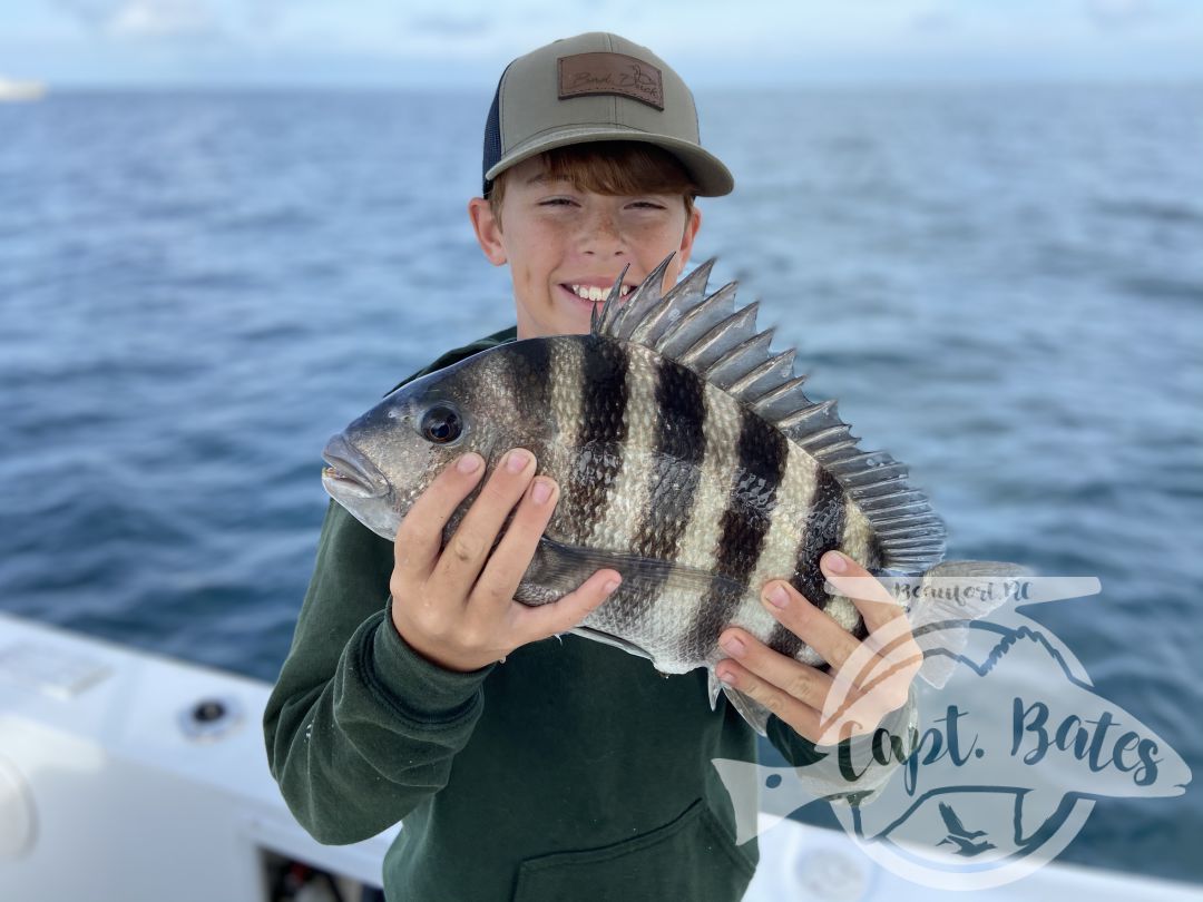 Been some really solid fishing lately with many citation fish! Sheep’s head and big Spanish mackerel with some big black drum as well!