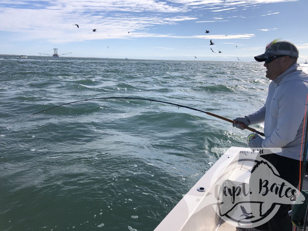 I was honored to be asked to take 2 national percipients of Project Healing waters Fly Fishing inc. fishing for 3 days during the Cape Lookout False albacore festival.

Nick is from Atlanta and Greg from Sleepy hollow NY. I couldn’t have asked for a couple better guys to have on the boat! We laughed, talked smack, and caught big fish until their arms hurt!

Albies were scarce Thursday, but the shrimp boats were out and the sharks were plentiful! Site casting to these sea monsters with heavy fly tackle is intense! Both guys landed sharks over 6’ and had lots of eats and hook ups!