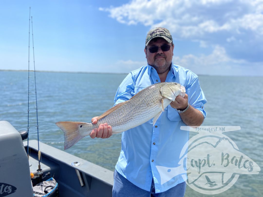 The last week has been full of Spanish mackerel, sharks, redfish and some fun size bluefish on topwater! 