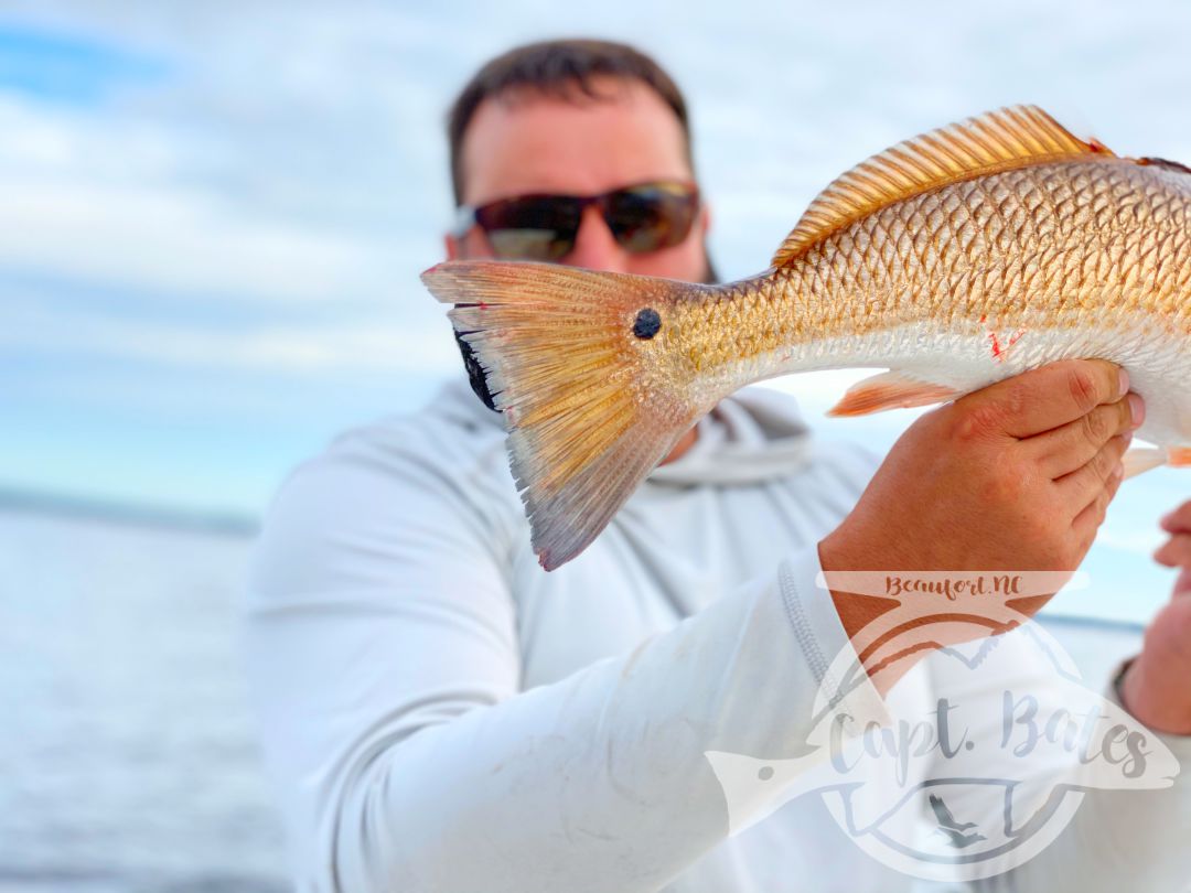 These guys spent a day looking for trophy red fish on fly rods, conditions were tough to say the least, second day we showed them how to catch red fish on topwater and they loved it! First time for them catching them on top!