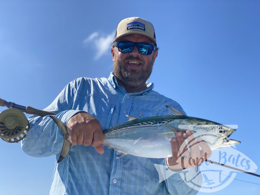 After being taunted by these unicorns for a week!  Finally, today one of my guys was able to put the @templeforkoutfitters inshore medium to the test! Seen a few bust in the albies and had textbook marks, then watched this guy eat a soft plastic 30’ from boat. Few other misses, but a citation blackfin on trout gear and #albiesnaxx in addition to first albies on the fly for these guys turned a slow morning into an incredible afternoon! Picked away at a few fish all morning then found the blitzes we were looking for! Ryan Hurd
#blackfin #blackfintuna #albies #falsealbacore #albies #lighttackle #flyfishing #flyfishingaddict #fishingaddiction #flyfishingadventures #flyfishingjunky #atlanticbeachnc Temple Fork Outfitters