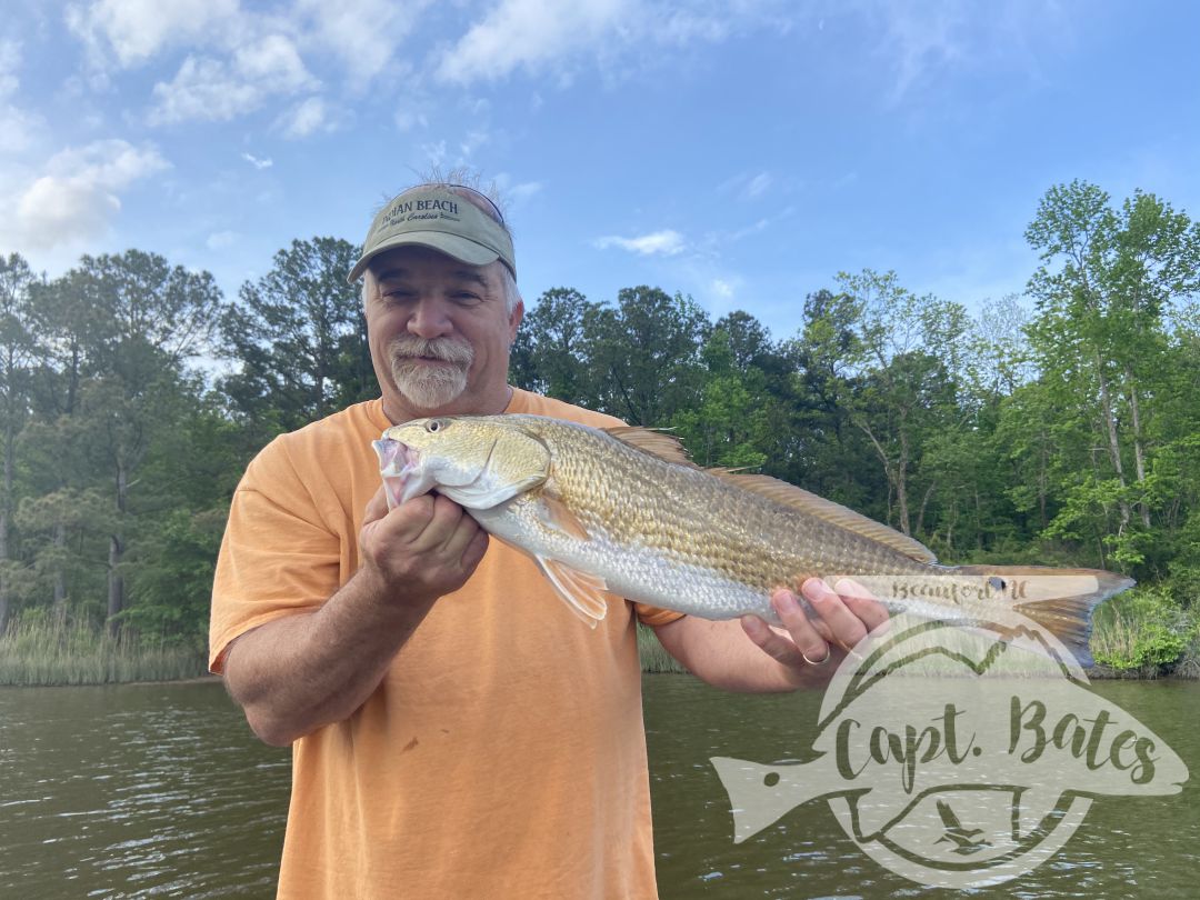 Great morning with fun repeats on some nice schools of slot redfish up to 26”! Casting artificial lures in shallow water. Keeper trout were harder to come by but lots of throwbacks. 