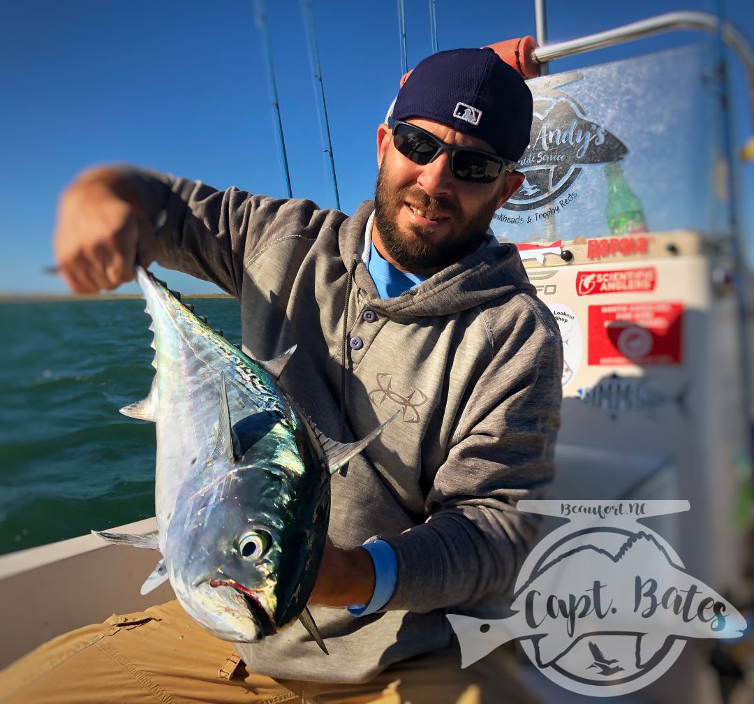 Chasing albies on a beautiful October morning at Cape Lookout, with repeat clients! Lots of fish around already, this fall is shaping up to be an awesome season!

Lots of scattered fish on small bait early made things challenging, but we found some fish feeding on bigger bait that were destroying any lures we through to them!

The absolute excitement of casting to busting albies and hearing that drag scream, while feeling their power brings anglers from all over the world to Cape Lookout year after year!