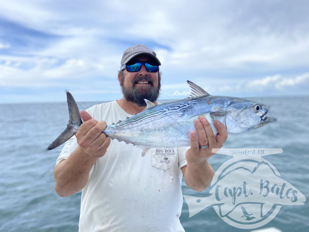 My Albie season has started out strong already! Anglers from across the country are getting to feel the chaos and incredible speed and power from these fish on fly rods and spinning tackle! Oh so much fun!