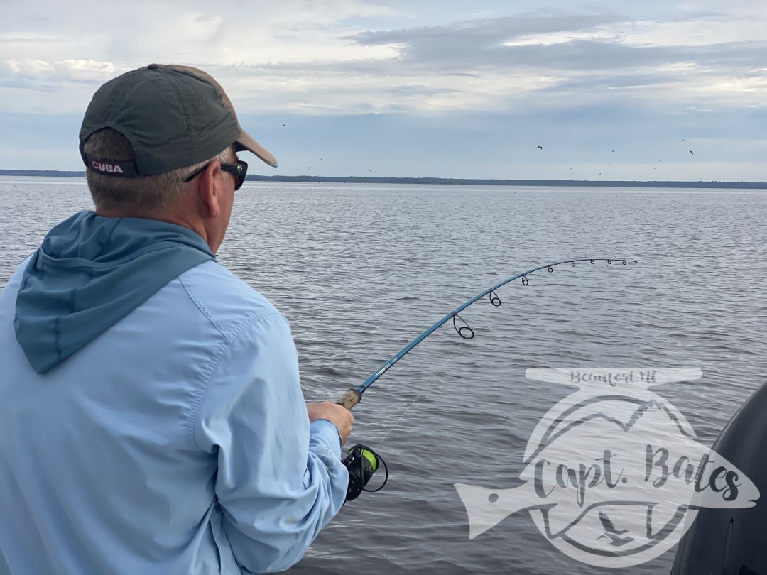 Great couple days with these guys targeting old drum, started out tough first day until we got them dialed in, then landed so many we started releasing them boat side with out even taking them out of the water, I love it!