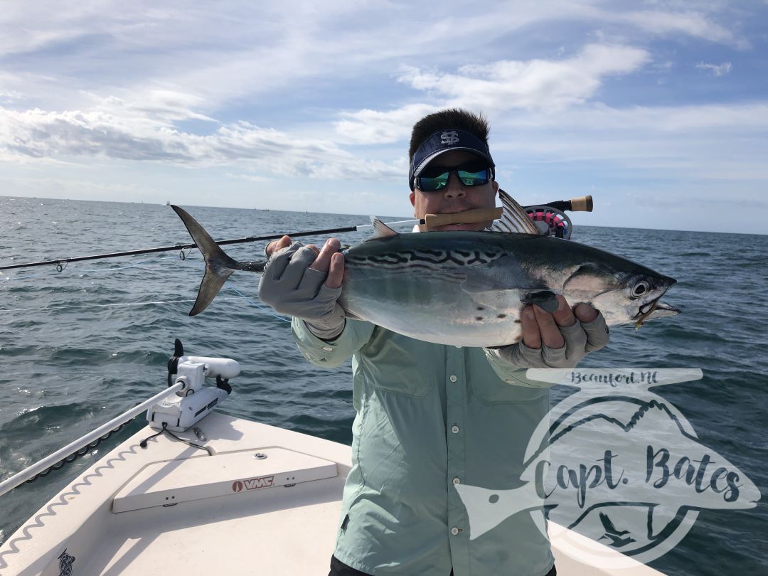 Nick and Greg got to see some of the best action we’ve had albie fishing around Cape Lookout all year! 

Fish were on baitballs and eating well! 

Nick caught his first albies ever! And Greg got his first ones ever on the fly rod!

I love seeing the excitement anglers show when they witness the mayhem this fish create when they are feeding good! This fishing never gets old to me and still get wound up seeing guys connect!