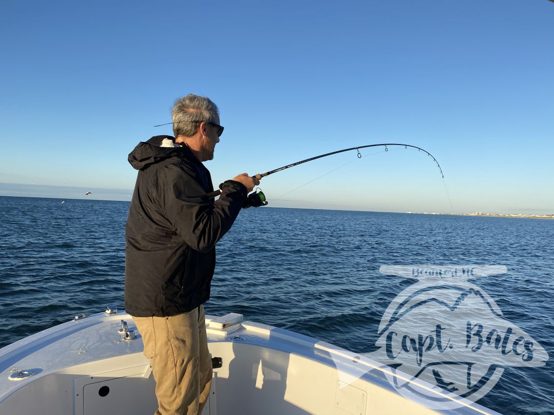 Fun times and excellent fishing today! By 0830 Gary said he had enough to write the article for @fishermans.post and he caught his first #falsealbacore on fly!! But we couldn’t stop there, we had to go see what #capelookout is famous for and she didn’t disappoint. Baitballs and blitzing fish. #atlanticbeachnc #flyfishing #albiefever #saltwaterflyfishing #fall #fishing #flyfishingaddict #albiethere