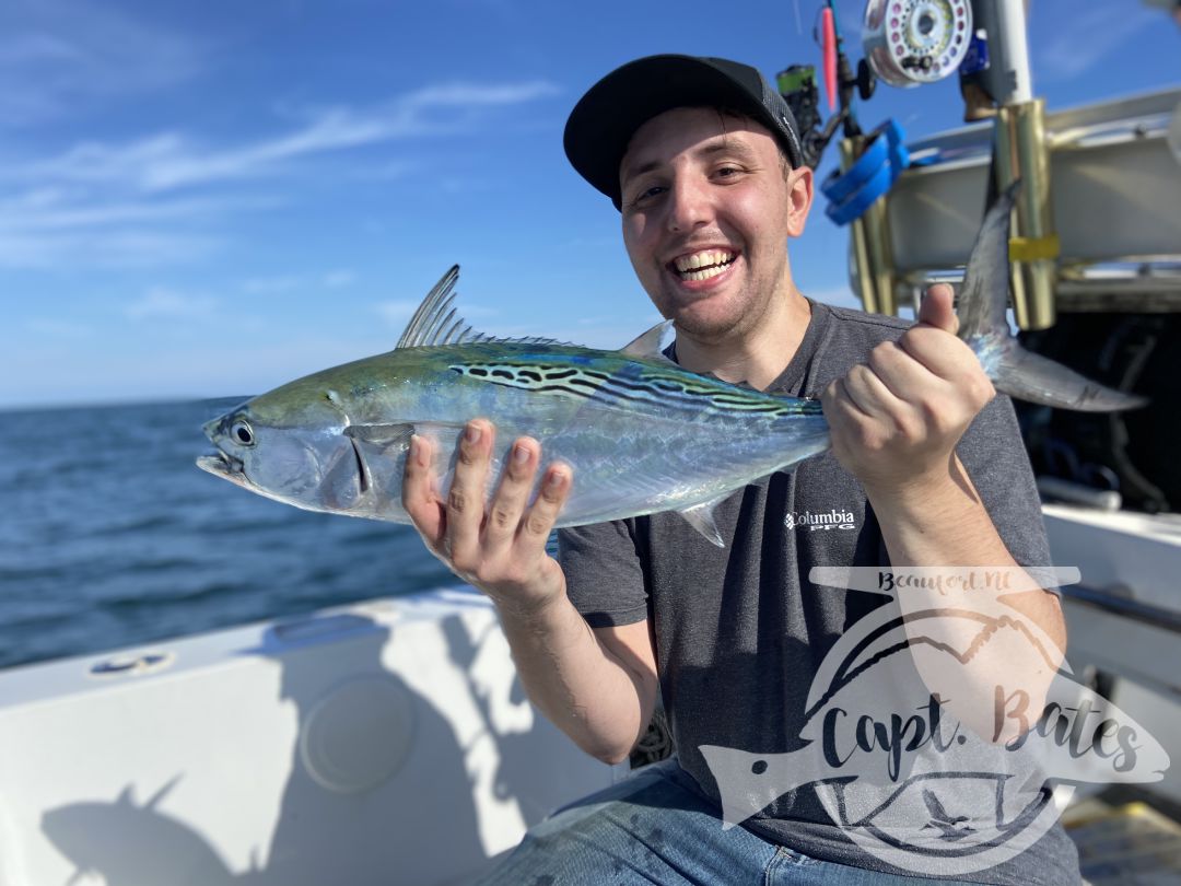 My Albie season has started out strong already! Anglers from across the country are getting to feel the chaos and incredible speed and power from these fish on fly rods and spinning tackle! Oh so much fun!