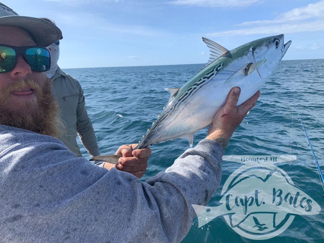 Fish were a little harder to find during the Cape Lookout False Albacore Festival tournament, but we put our noses to the ground and tracked em down!

We boated fish on the fly and spinning rods, Nick put the most albies in the boat for the tournament but we got beat out by the guys that loaded up on bluefish racking up points.

None the less, we had another great day and had an acre of fat alberts feeding up top on a giant bait ball for 30 minutes all the ourselves!! Nicks first fish of the day was the biggest I’ve seen yet this year! A solid 12-14 pounder!

Thanks for an awesome few days guys! I love meeting new friends and catching awesome fish!!!