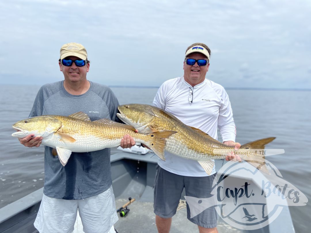 Well that’s a pleasant surprise! Throwing topwater for slot redfish when these adult trophy made a strong showing! Had em hitting topwater, swim baits, and popping corks. Summer inshore fishing is in full swing and looking really good!