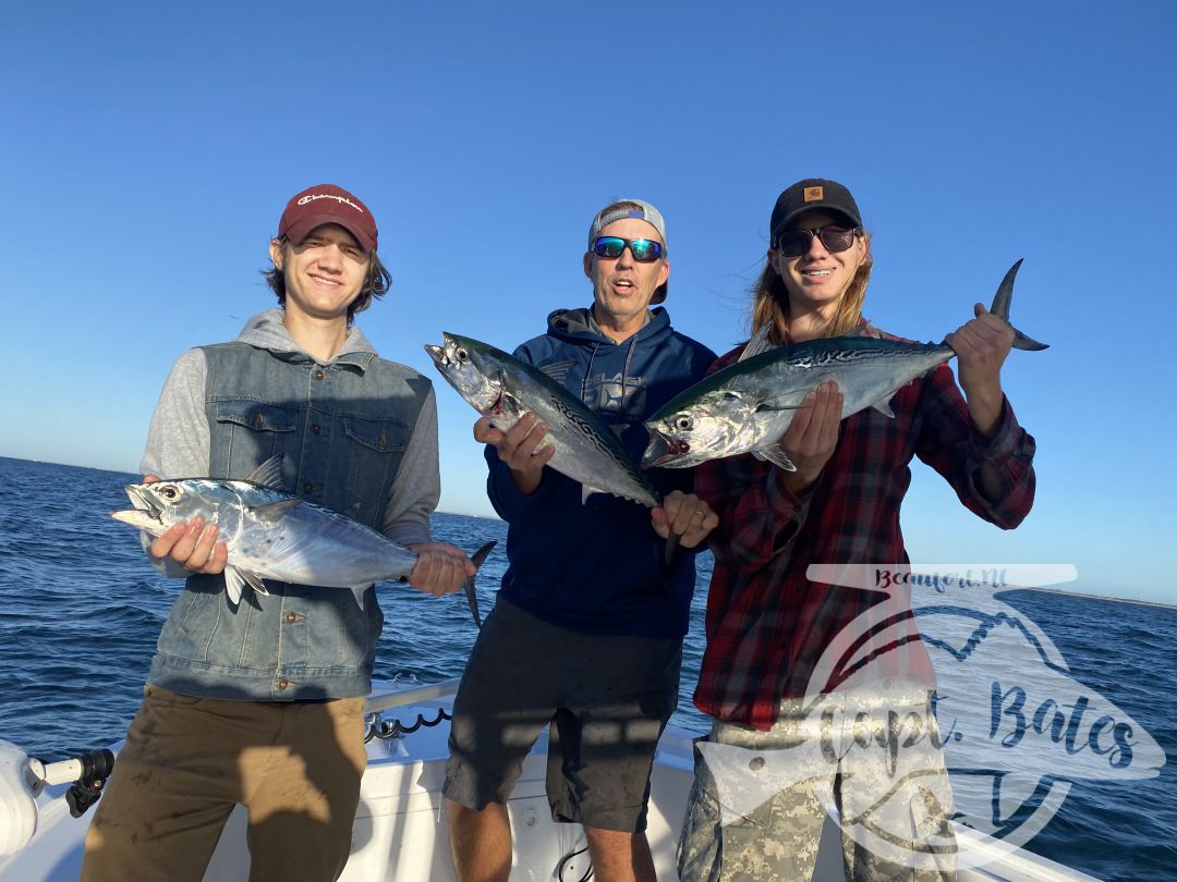 Wrapped up my Albie season with an excellent day and a great family! Mr Will said he wanted to introduce his sons to screaming drag, well we did that for almost 2 hours straight first thing and then a lot more. Blind casting on top, jigging marks, and baitball blitzes kept us busy untill the tide slacked out, with a few really solid fish mixed in. Then we jigged some nice graytrout, spanish and a few more albies before sending them home happy and tired!