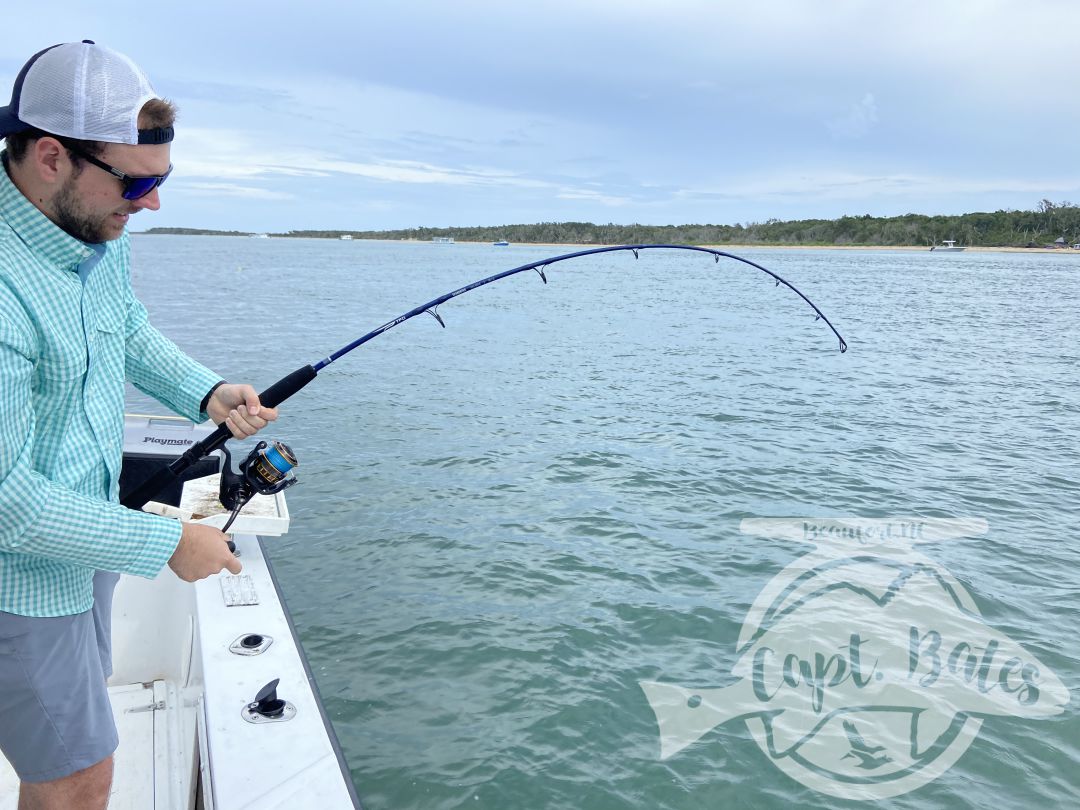 This mother and son wanted sharks and they stayed battling toothy critters all evening! A bunch nice blacktips, hammerhead, and sharp nose.