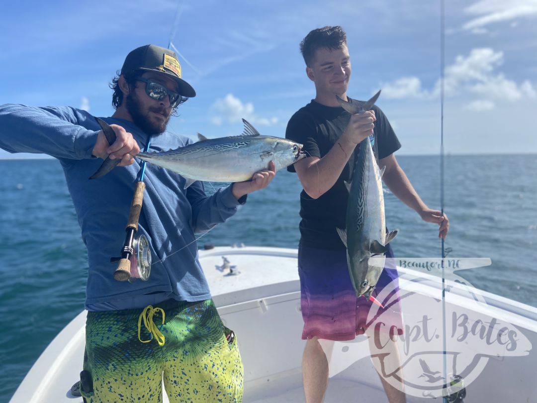 My Albie season has started out strong already! Anglers from across the country are getting to feel the chaos and incredible speed and power from these fish on fly rods and spinning tackle! Oh so much fun!