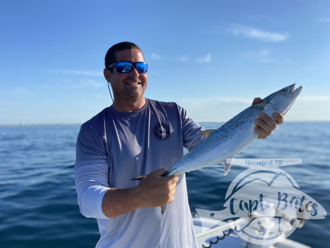 The last week has been full of Spanish mackerel, sharks, redfish and some fun size bluefish on topwater! 