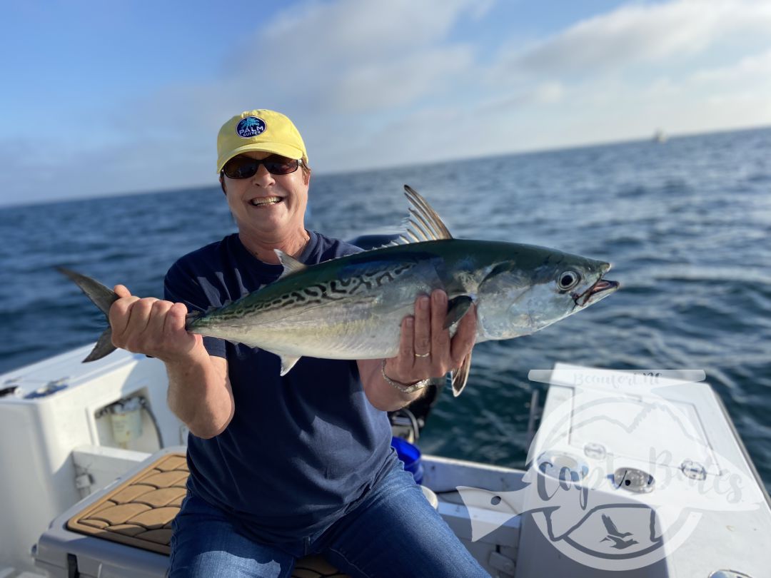 False albacore fishing remains great most days! Also seeing excellent Spanish mackerel fishing!