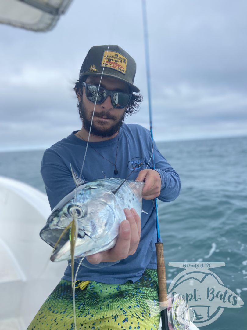 My Albie season has started out strong already! Anglers from across the country are getting to feel the chaos and incredible speed and power from these fish on fly rods and spinning tackle! Oh so much fun!