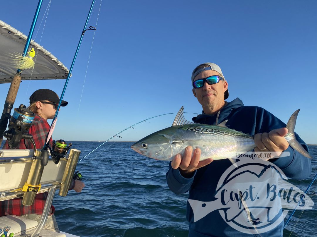 Wrapped up my Albie season with an excellent day and a great family! Mr Will said he wanted to introduce his sons to screaming drag, well we did that for almost 2 hours straight first thing and then a lot more. Blind casting on top, jigging marks, and baitball blitzes kept us busy untill the tide slacked out, with a few really solid fish mixed in. Then we jigged some nice graytrout, spanish and a few more albies before sending them home happy and tired!