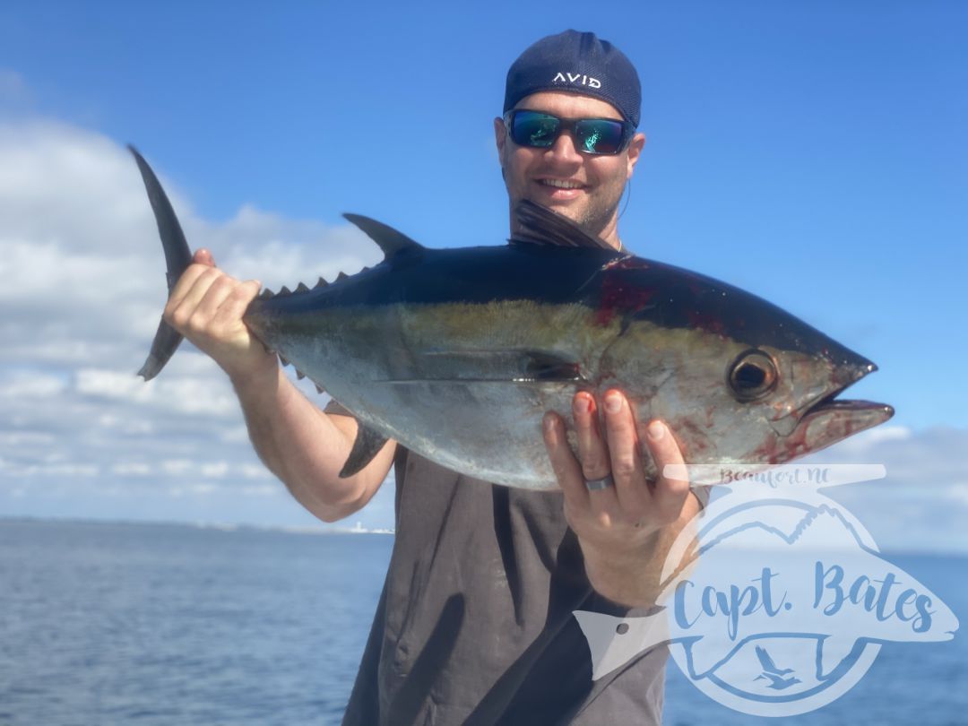 After being taunted by these unicorns for a week!  Finally, today one of my guys was able to put the @templeforkoutfitters inshore medium to the test! Seen a few bust in the albies and had textbook marks, then watched this guy eat a soft plastic 30’ from boat. Few other misses, but a citation blackfin on trout gear and #albiesnaxx in addition to first albies on the fly for these guys turned a slow morning into an incredible afternoon! Picked away at a few fish all morning then found the blitzes we were looking for! Ryan Hurd
#blackfin #blackfintuna #albies #falsealbacore #albies #lighttackle #flyfishing #flyfishingaddict #fishingaddiction #flyfishingadventures #flyfishingjunky #atlanticbeachnc Temple Fork Outfitters