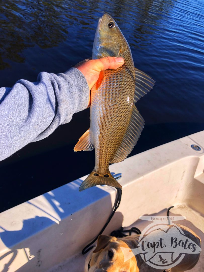 Mixed bag in post cold front conditions, I love teaching anglers a new technique they’ve never fished before and seeing them build confidence in it throughout the day!