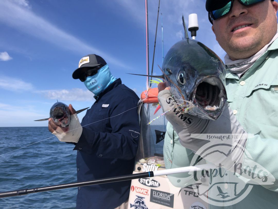 Nick and Greg got to see some of the best action we’ve had albie fishing around Cape Lookout all year! 

Fish were on baitballs and eating well! 

Nick caught his first albies ever! And Greg got his first ones ever on the fly rod!

I love seeing the excitement anglers show when they witness the mayhem this fish create when they are feeding good! This fishing never gets old to me and still get wound up seeing guys connect!