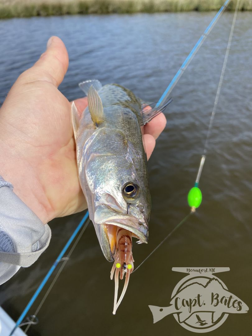 I don’t fish much by myself any more, but I got to today so I Checked out some areas I haven’t been to for a long time and some I’ve never fished. It’s easy to get in a grind and forget what we love about fishing, today was a great refresher for me. I love to learn and explore, oh and catching nice slot fish isn’t to bad either!