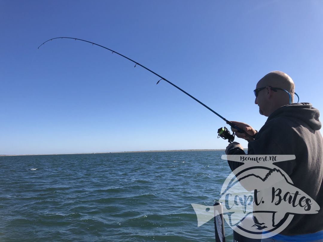 Chasing albies on a beautiful October morning at Cape Lookout, with repeat clients! Lots of fish around already, this fall is shaping up to be an awesome season!

Lots of scattered fish on small bait early made things challenging, but we found some fish feeding on bigger bait that were destroying any lures we through to them!

The absolute excitement of casting to busting albies and hearing that drag scream, while feeling their power brings anglers from all over the world to Cape Lookout year after year!