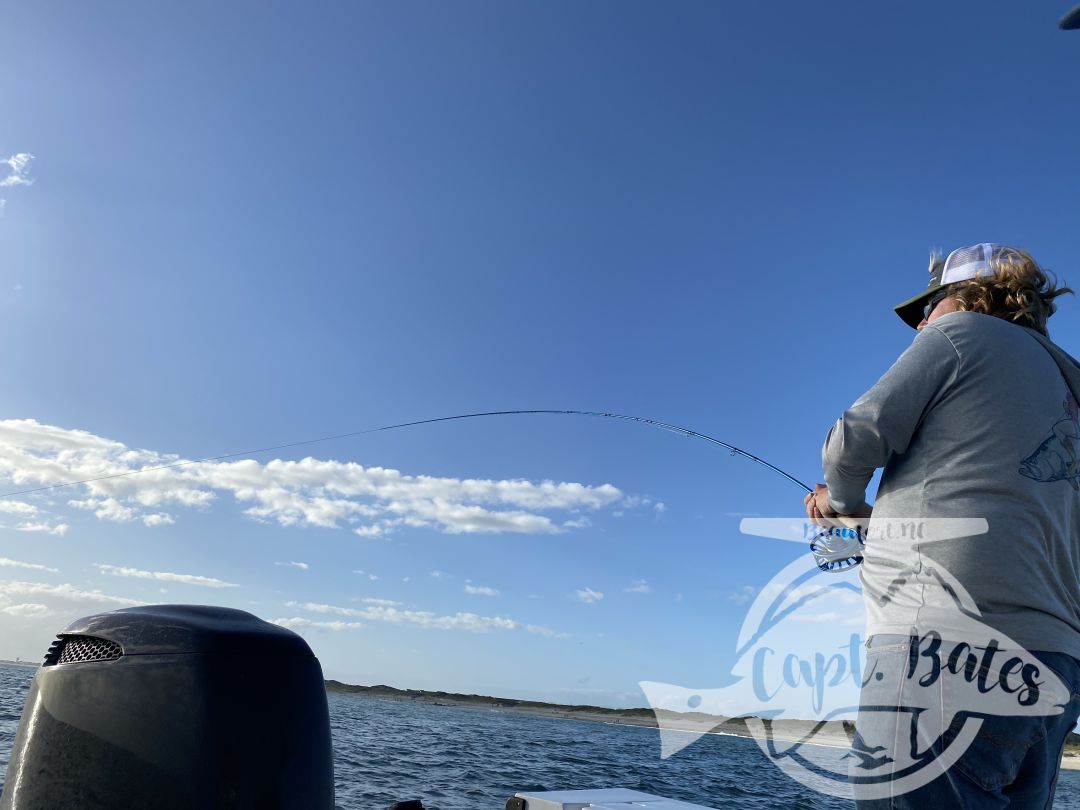 “Organized Chaos” was the phrase of the afternoon on an incredible false albacore blitz! Doubles, triple hookups on fly, swimming to remove a fly line from prop, fish Bustin so close to boat hard to cast to, and 11year old Buddy yelling “Trout set!” To Greg 