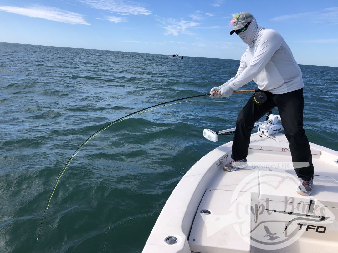 I was honored to be asked to take 2 national percipients of Project Healing waters Fly Fishing inc. fishing for 3 days during the Cape Lookout False albacore festival.

Nick is from Atlanta and Greg from Sleepy hollow NY. I couldn’t have asked for a couple better guys to have on the boat! We laughed, talked smack, and caught big fish until their arms hurt!

Albies were scarce Thursday, but the shrimp boats were out and the sharks were plentiful! Site casting to these sea monsters with heavy fly tackle is intense! Both guys landed sharks over 6’ and had lots of eats and hook ups!