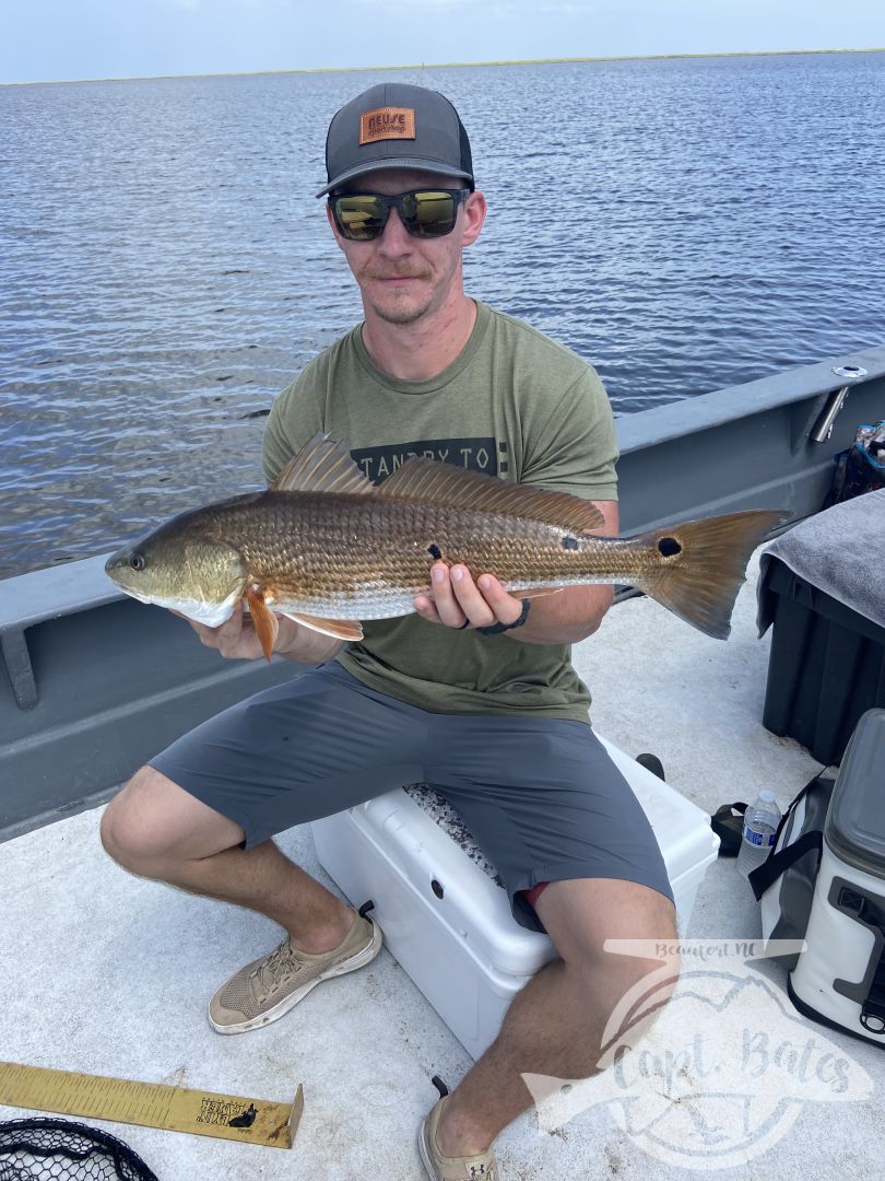 Slot redfishing has remained awesome throughout the summer till now! It’s a great back up plan for trophy drum season as well as Albie season!