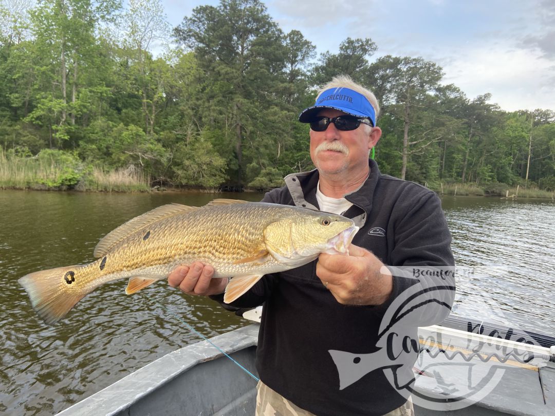 Great morning with fun repeats on some nice schools of slot redfish up to 26”! Casting artificial lures in shallow water. Keeper trout were harder to come by but lots of throwbacks. 