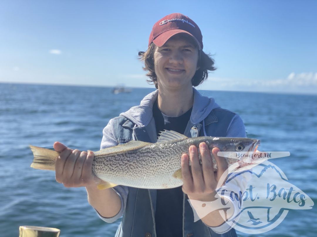 Wrapped up my Albie season with an excellent day and a great family! Mr Will said he wanted to introduce his sons to screaming drag, well we did that for almost 2 hours straight first thing and then a lot more. Blind casting on top, jigging marks, and baitball blitzes kept us busy untill the tide slacked out, with a few really solid fish mixed in. Then we jigged some nice graytrout, spanish and a few more albies before sending them home happy and tired!