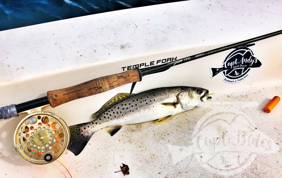 Speckled trout and fly rods, go together like peanut butter and jelly! 