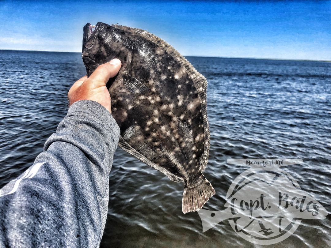 Flatfish flounder fun!