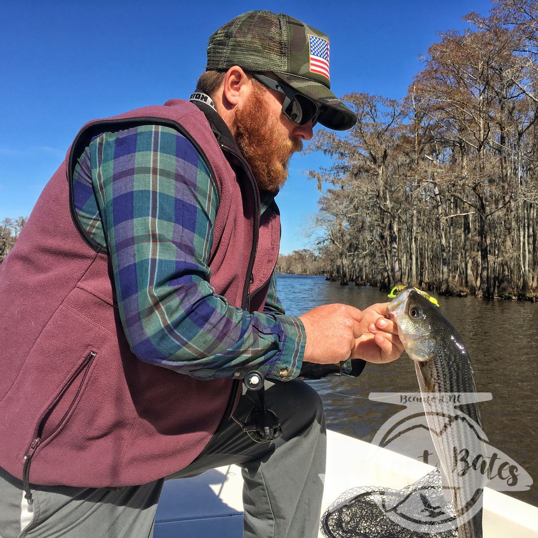 Winter time fun stripers on the Neuse river
