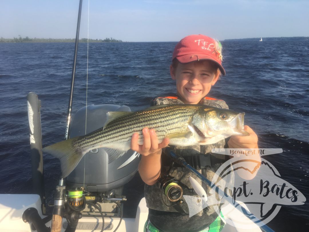 Another great rockfish from the Neuse River North Carolina!