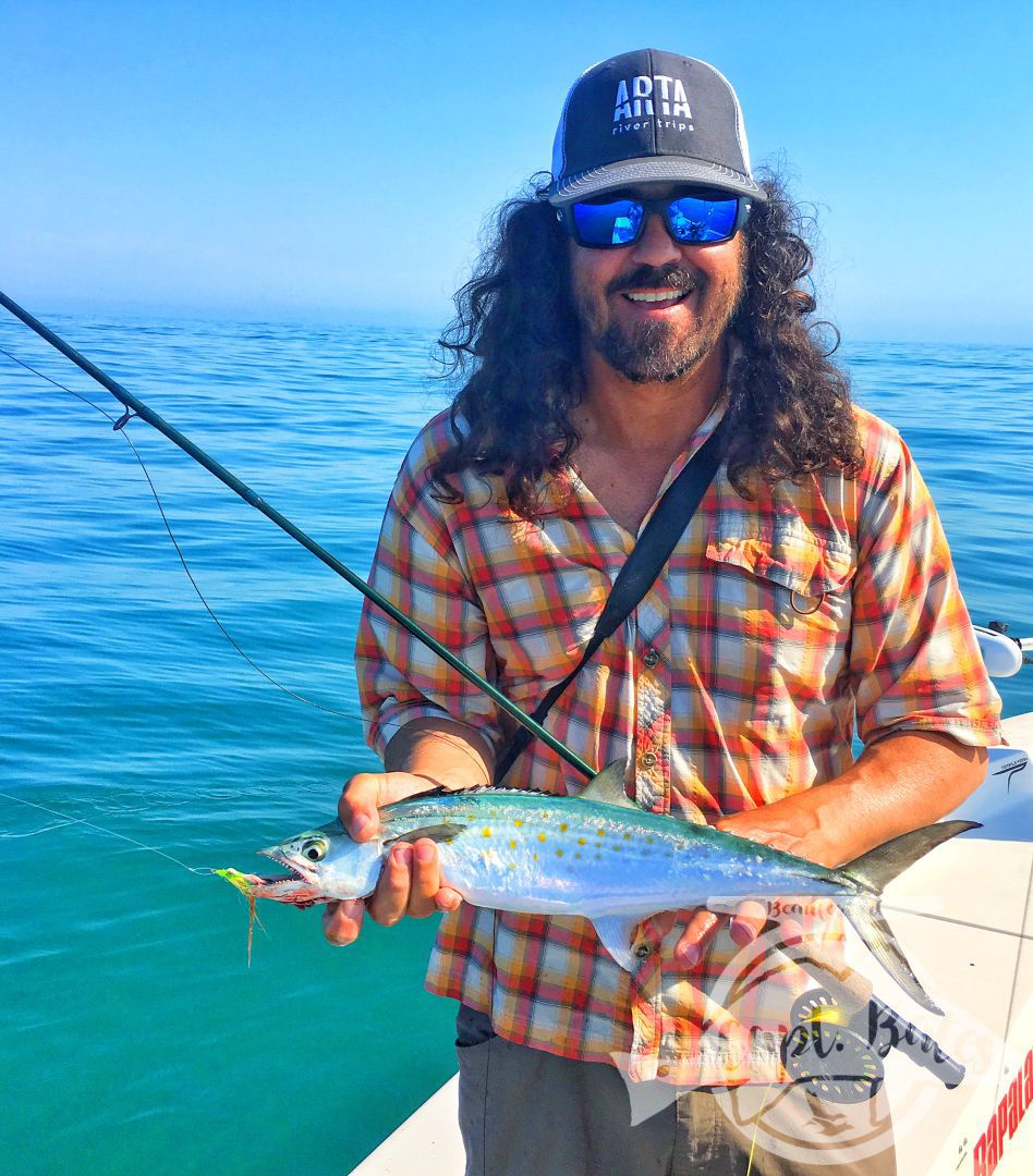 5 weights and spanish mackerel are a match made in heaven! A first saltwater fly species for a many a angler! Could be considered the gateway drug into saltwater flyfishing!