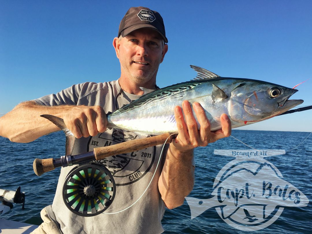 Super day with a couple of great guys chasing Falsies off the beaches of Cape Lookout on fly and light tackle gear!