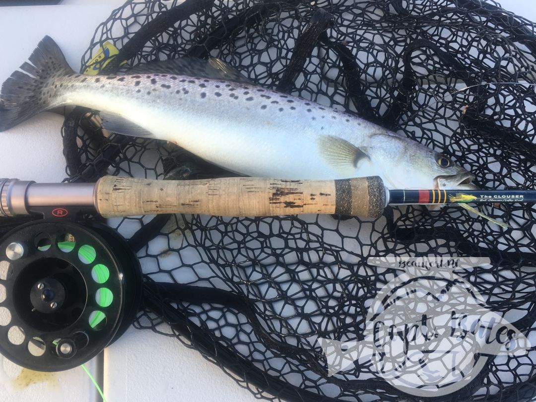 Fat winter speck on the fly rod!