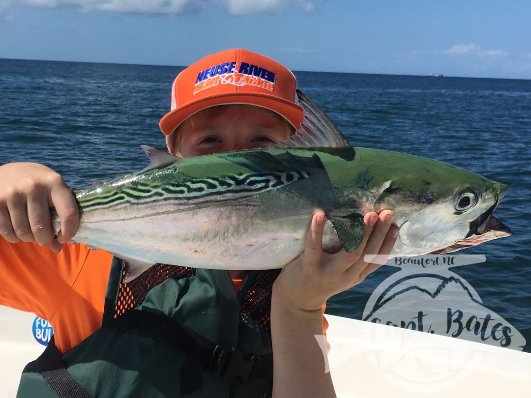 Bandito pose with another Cape Lookout fall false albacore!