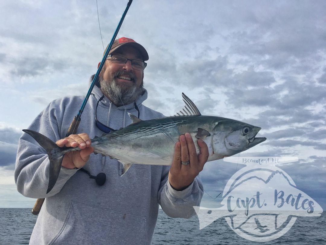 Capt Jay getting it done on the TFO inshore series rod and FFP Osprey 5000 on busting false albacore!